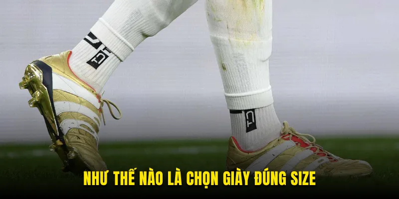 Làm thế nào để chọn kích thước đúng size