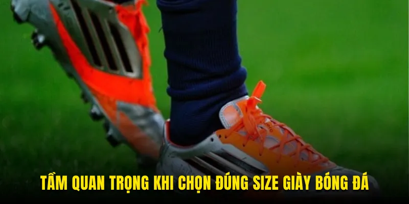 Vai trò khi chọn size giày đá bóng