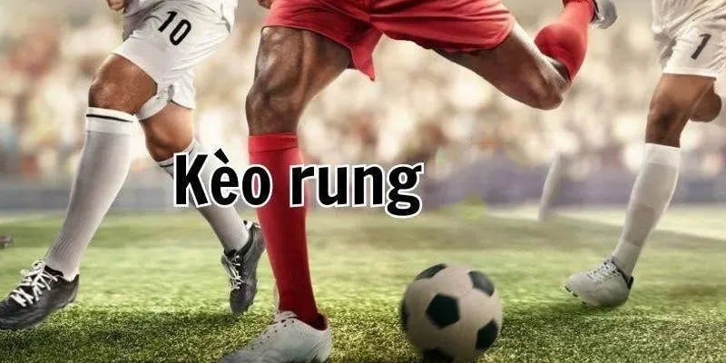 Hướng dẫn cách đọc kèo một cách chuẩn nhất hiện nay
